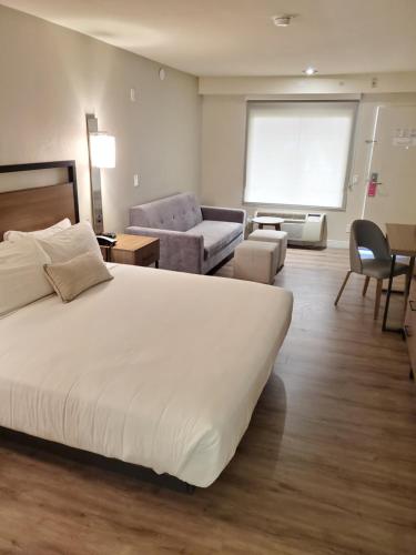 a bedroom with a large bed and a living room at Wyndham Garden San Diego in San Diego