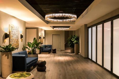 Kimpton Angler’s Hotel South Beach, an IHG Hotel Image