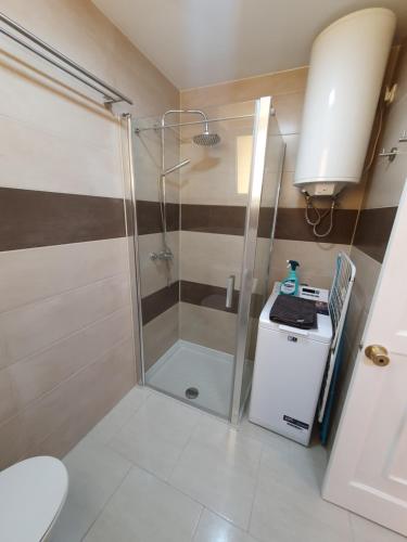 a shower with a glass door in a bathroom at PLAYA MIRAR in Palm Garden in Morro del Jable