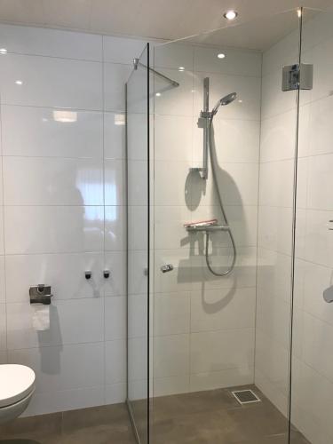 a bathroom with a shower and a toilet at Hendrikhof - appartement 1 ‘de Tas’ in Westkapelle