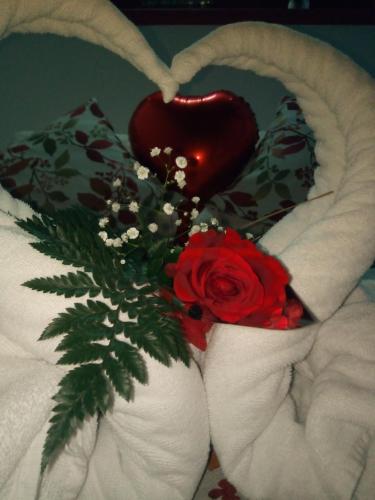 a heart shaped pillow with a bouquet of flowers and a red rose at Cazorla Rural in Quesada