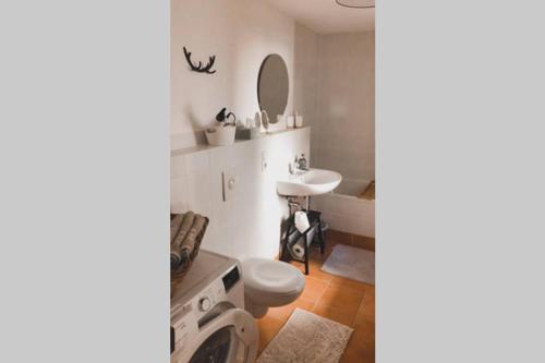 W łazience znajduje się pralka i umywalka. w obiekcie Platzhirsch Seligenstadt - Im Herzen der Altstadt w mieście Seligenstadt