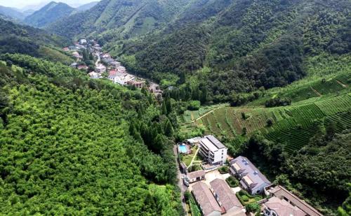 DeqingにあるMoganshan Jiang Gardenのギャラリーの写真