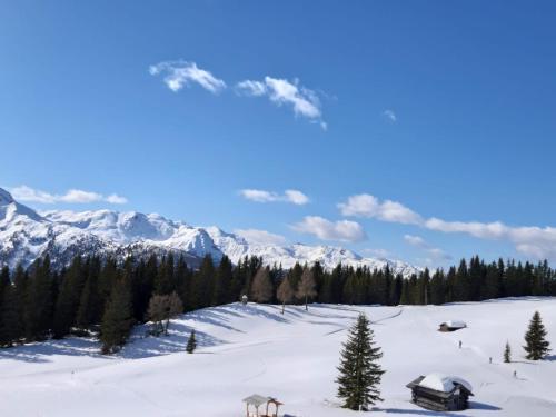 a snow covered field with trees and mountains at Ferienhaus Köck in Kartitsch