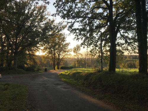 a dirt road with trees on the side of it at La Grenouille in Saint-Adjutory