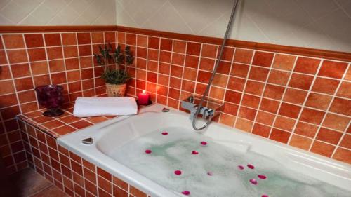坎普羅東的住宿－Can Castell de Rocabruna，浴室设有粉红色球面浴缸。