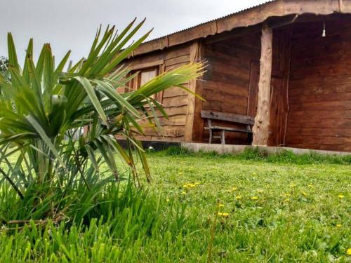 Gallery image of Cabañas La Tregua in Tandil