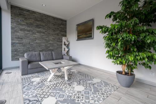 a living room with a couch and a potted tree at Dom Żeglarza in Puck