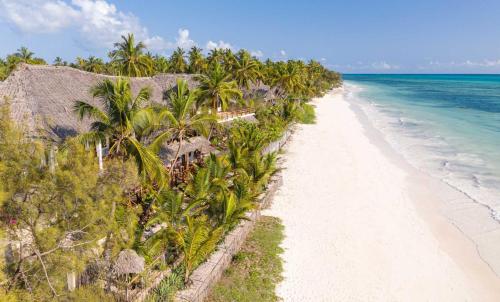 an empty beach with palm trees and the ocean at Hekaya Zanzibar in Pingwe