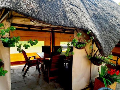 a patio with a table and chairs and plants at Ipe Tombe Guest Lodge - Midrand in Midrand