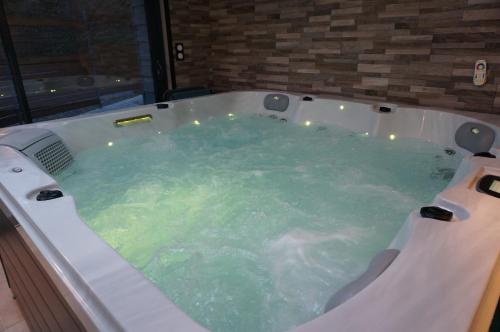 a jacuzzi tub with green water in a room at Domaine du Moulin à Vent - Gîte & SPA in Saint-Florent-sur-Cher