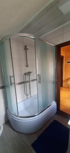 a shower with a glass door in a bathroom at PERFECT in Yaremche