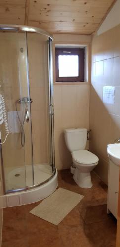 a bathroom with a shower and a toilet and a sink at DOMKI POD ZIELONYM WZGÓRZEM in Kudowa-Zdrój