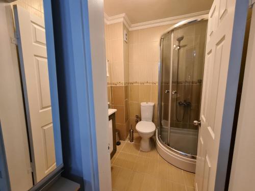 un bagno con wc e doccia in vetro di Oceans 7 Hotel a Istanbul