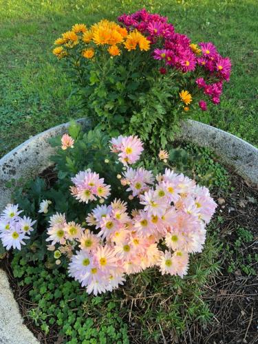 a bunch of flowers in a flower pot at B & B Chic in Premariacco