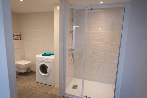 een badkamer met een douche en een wasmachine bij Le Golfe du Morbihan et ses sentiers côtiers in Vannes