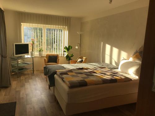 um quarto com uma cama, uma secretária e uma televisão em Haus Bergstrasse em Stolberg