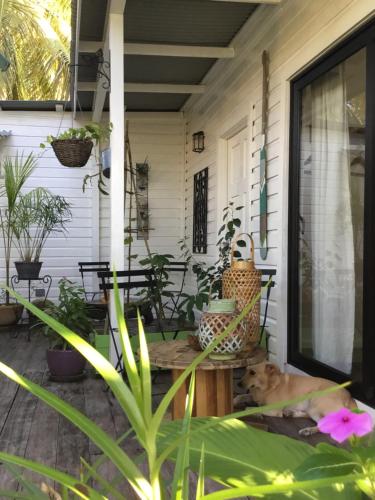 Un jardín fuera de RIVA B&B