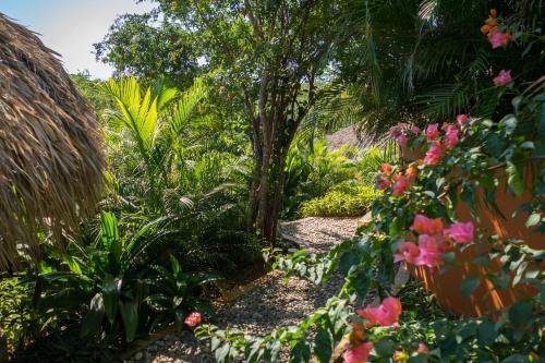 a garden with pink flowers and plants at Cabañas Amaia in Mazunte