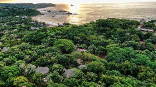 an aerial view of a beach with trees and the ocean at Cabañas Amaia in Mazunte