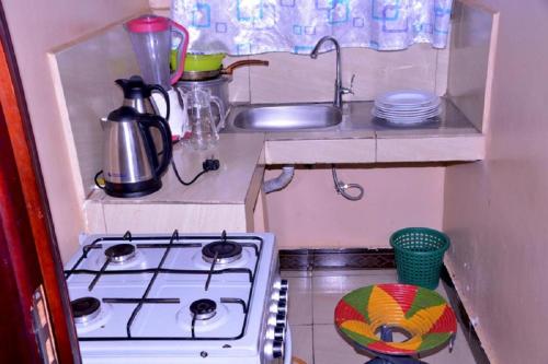 a small kitchen with a stove and a sink at Antique Apartments in Entebbe