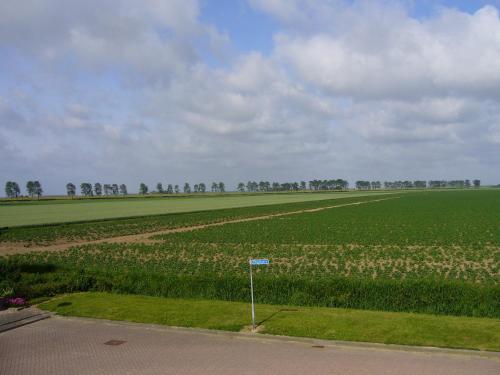 a field of flowers with a sign in front of it at B&B Korendijk in Zuid-Beijerland