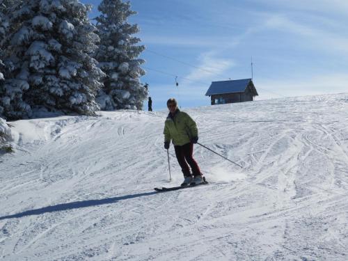 a person is skiing down a snow covered slope at Ferienhaus "Zur alten Schmiede" in Mariahof