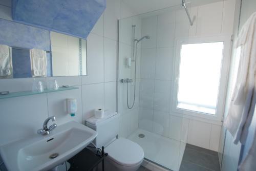 ein Bad mit einem Waschbecken, einem WC und einer Dusche in der Unterkunft Hôtel - Restaurant Le Manoir in Vaulruz