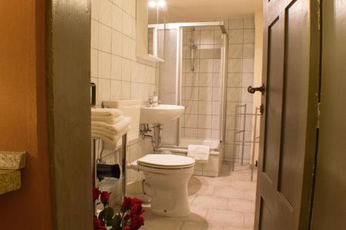 een kleine badkamer met een toilet en een wastafel bij Ferienwohnung Im Damm in Quedlinburg