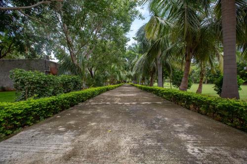 a dirt road with palm trees in a park at KSTDC Hotel Mayura Bhuvaneshwari Kamalapur in Hampi