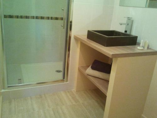 a bathroom with a sink and a shower at Chambres d'Hôtes La Grange Au Bois in Champagne-et-Fontaine