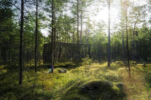 Příroda nedaleko apartmánu