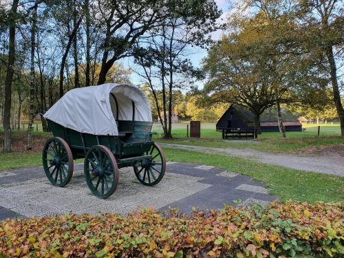 Taman di luar B&B Drenthe