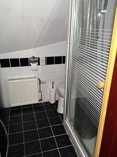 a bathroom with a shower and a toilet at Paul en Lettie's Bed and Breakfast in Westbroek