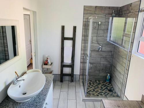 een badkamer met een douche, een wastafel en een toilet bij Habitat in Clarens