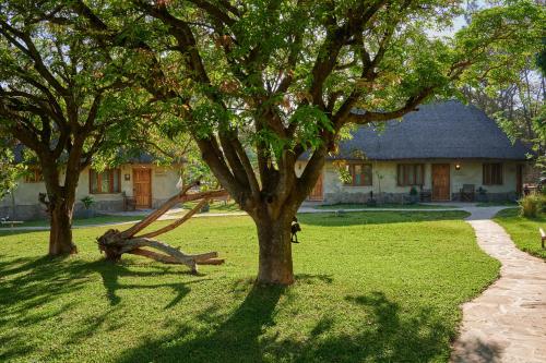 Giardino di Wild Dogs Lodge