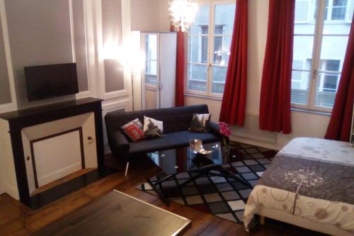 - un salon avec un canapé et une cheminée dans l'établissement STUDIO cosy dans le centre de LIMOGES, à Limoges