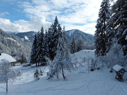 a snow covered forest with trees and mountains at Landhaus Krappinger in Bad Kleinkirchheim