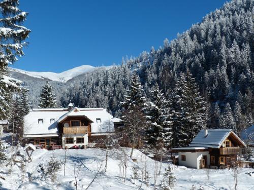 a house covered in snow in the mountains at Landhaus Krappinger in Bad Kleinkirchheim