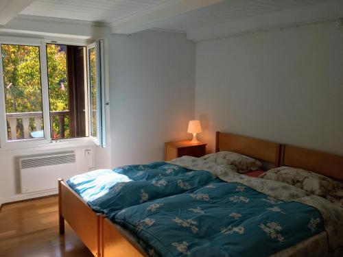 a bedroom with a bed with a blue comforter and a window at Wild Valley Rusticino in Crana