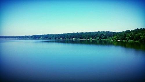 a large body of water with trees in the background at Chata Třeboňsko - rybník Dvořiště - Smržov in Smržov