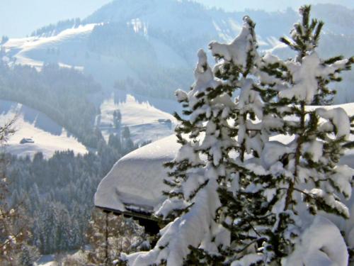 a tree covered in snow on top of a mountain at Chalet Chalet le Chamois by Interhome in Moleson