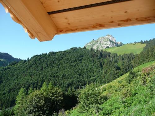 a view of a mountain from a cabin at Chalet Chalet La Poya by Interhome in Moleson
