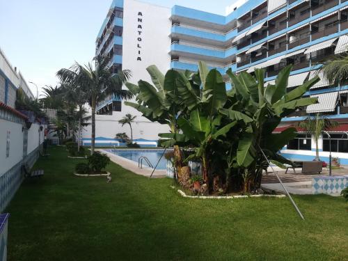 Afbeelding uit fotogalerij van Acogedor estudio con piscina y cerca de la playa in Puerto de la Cruz
