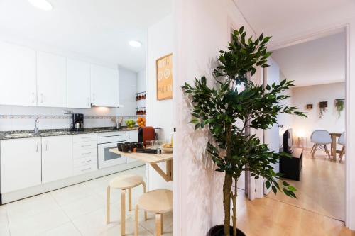 a kitchen with white cabinets and a potted plant at Be Barcelona Plaza Catalunya in Barcelona
