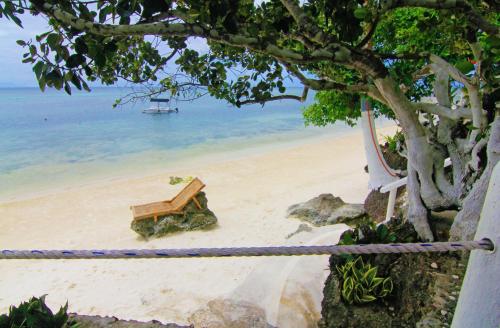 a view of a beach with a tree and the ocean at J&R Residence in Anda