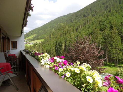 Nespecifikovaný výhled na hory nebo výhled na hory při pohledu z apartmánu