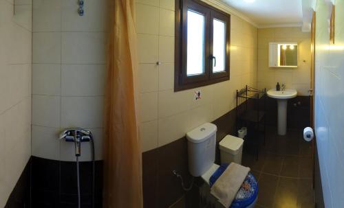 a bathroom with a toilet and a sink at Parisis Villas in Troulos