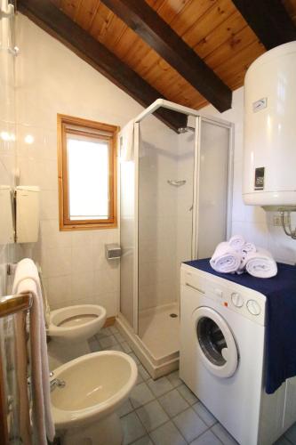 a bathroom with a toilet a sink and a washing machine at Appartamento Il Camoscio - Affitti Brevi Italia in Brusson