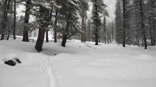 a snow covered path in a forest with trees at Olive Garden Classic in Tosh
